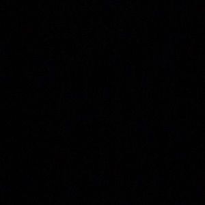 Meet your Posher, Perla